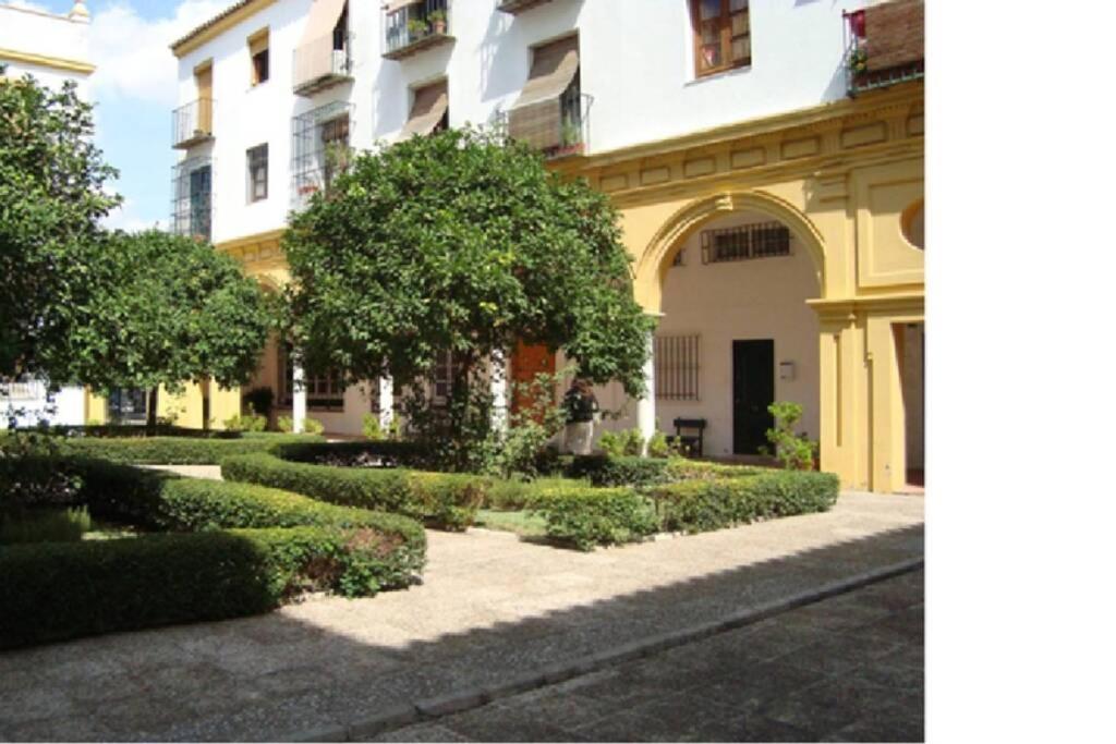 Centrico Y Amplio Apartamento 100% Equipado Jerez de la Frontera Exterior foto